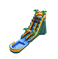 19 Palm Water Slide