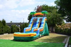 15ft palms water slide rental grand rapids 1767459137 15ft Palms Water Slide