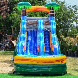 15ft palms water slide rentals grand rapids mi 1767459136 15ft Palms Water Slide