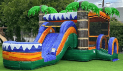 Palm Tree bounce house combo rentals grand rapids 1767468965 Palm Tree Bounce House with Water Slide