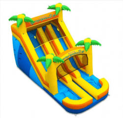 Roaring Rainforest 18 Slide 2 1767458515 18 foot Double Slide Palm Trees
